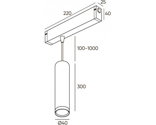 Купить Светильник на шине Denkirs DK8008-BG| VIVID-LIGHT.RU