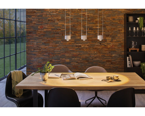 Заказать Светильник на шине Paulmann 95521| VIVID-LIGHT.RU