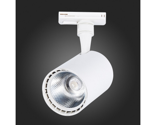 Оформить заказ Светильник на шине ST-Luce ST351.546.20.24| VIVID-LIGHT.RU