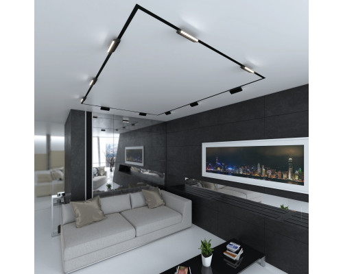 Сделать заказ Светильник на шине Elektrostandard Slim Magnetic HL02 Трековый светильник 12W 4200K (черный) 85| VIVID-LIGHT.RU