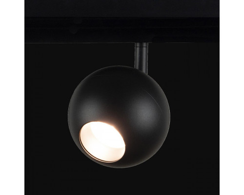 Оформить заказ Светильник на шине LOFT IT T024-12| VIVID-LIGHT.RU