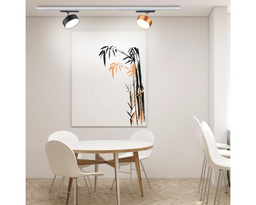 Купить Светильник на шине Novotech 358756| VIVID-LIGHT.RU