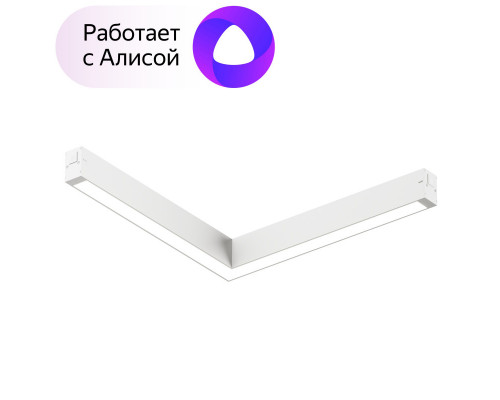 Оформить заказ Светильник на шине Denkirs DK8014-WH| VIVID-LIGHT.RU