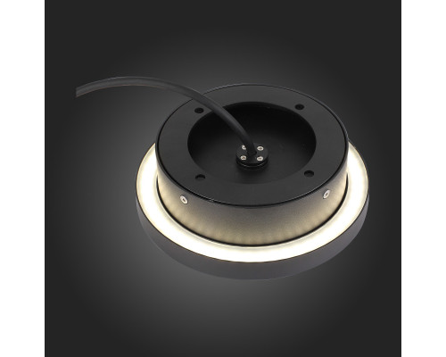 Заказать Тротуарный светильник ST-Luce SL078.445.01| VIVID-LIGHT.RU