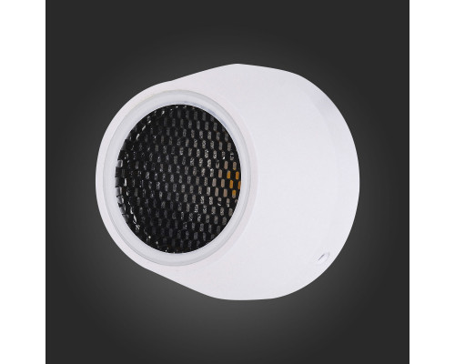 Оформить заказ Тротуарный светильник ST-Luce SL097.555.01| VIVID-LIGHT.RU