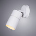 Купить Светильник настенный ARTE Lamp A3304AL-1WH| VIVID-LIGHT.RU