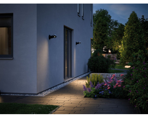 Сделать заказ Светильник настенный Paulmann 94213| VIVID-LIGHT.RU