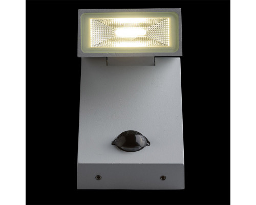 Сделать заказ Светильник настенный DeMarkt 807021601| VIVID-LIGHT.RU