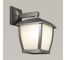 Светильник настенный Odeon Light 4051/1W