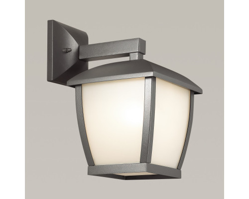 Купить Светильник настенный Odeon Light 4051/1W| VIVID-LIGHT.RU