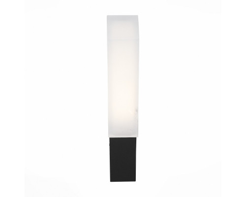 Заказать Светильник настенный ST-Luce SL096.411.02| VIVID-LIGHT.RU