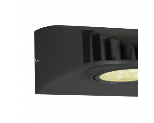 Сделать заказ Светильник настенный Favourite 3029-1W| VIVID-LIGHT.RU