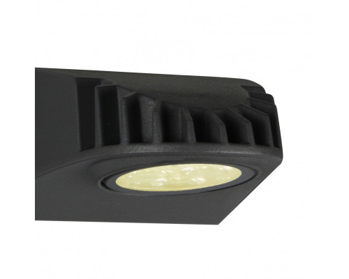 Сделать заказ Светильник настенный Favourite 3029-1W| VIVID-LIGHT.RU