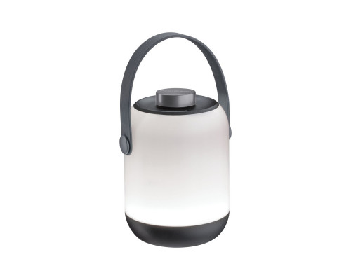 Оформить заказ Уличный светильник Paulmann 94218| VIVID-LIGHT.RU