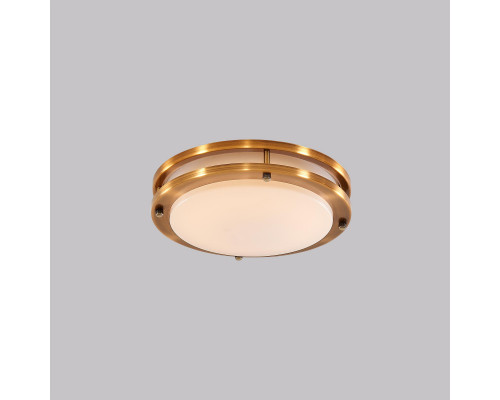 Сделать заказ Влагозащищенный светильник Citilux CL709153| VIVID-LIGHT.RU