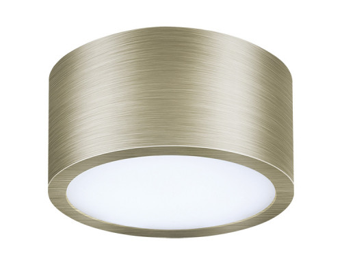 Заказать Влагозащищенный светильник Lightstar 213911| VIVID-LIGHT.RU