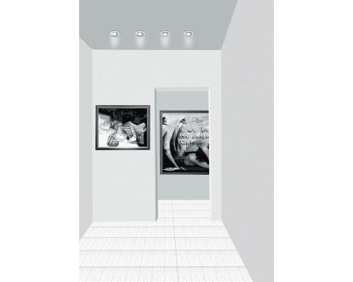 Сделать заказ Влагозащищенный светильник Paulmann 17946| VIVID-LIGHT.RU