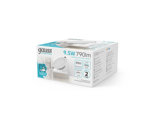 Сделать заказ Влагозащищенный светильник Gauss 999420209| VIVID-LIGHT.RU