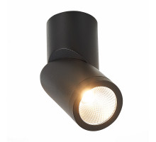 Влагозащищенный светильник ST-Luce ST650.432.10