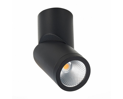 Заказать Влагозащищенный светильник ST-Luce ST650.432.10| VIVID-LIGHT.RU