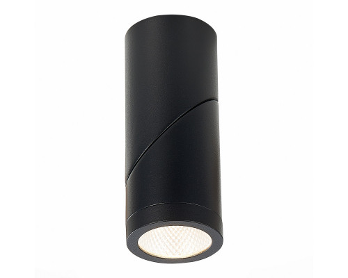 Заказать Влагозащищенный светильник ST-Luce ST650.432.10| VIVID-LIGHT.RU