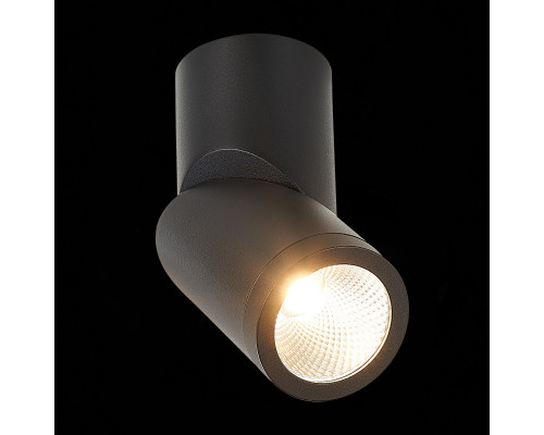 Заказать Влагозащищенный светильник ST-Luce ST650.432.10| VIVID-LIGHT.RU