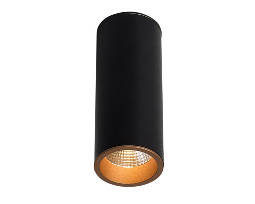 Сделать заказ Влагозащищенный светильник LeDron SLC7391/7W-BG| VIVID-LIGHT.RU