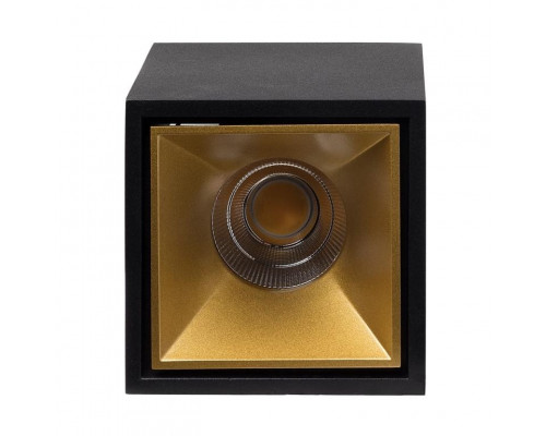 Купить Влагозащищенный светильник LeDron KUBING Black/Gold| VIVID-LIGHT.RU