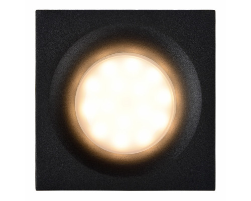 Оформить заказ Влагозащищенный светильник LUCIDE 09924/01/30| VIVID-LIGHT.RU