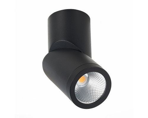 Оформить заказ Влагозащищенный светильник ST-Luce ST650.442.10| VIVID-LIGHT.RU