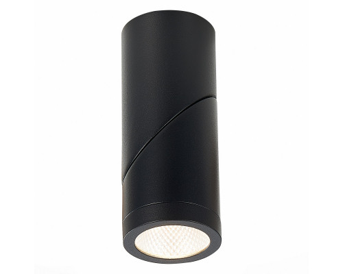 Оформить заказ Влагозащищенный светильник ST-Luce ST650.442.10| VIVID-LIGHT.RU