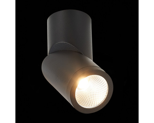 Оформить заказ Влагозащищенный светильник ST-Luce ST650.442.10| VIVID-LIGHT.RU