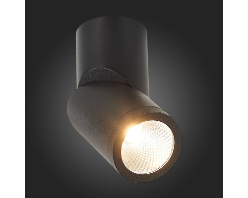 Оформить заказ Влагозащищенный светильник ST-Luce ST650.442.10| VIVID-LIGHT.RU