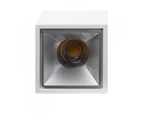 Заказать Влагозащищенный светильник LeDron KUBING White/Grey| VIVID-LIGHT.RU