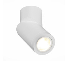Влагозащищенный светильник ST-Luce ST650.502.01