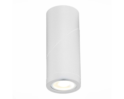 Купить Влагозащищенный светильник ST-Luce ST650.502.01| VIVID-LIGHT.RU