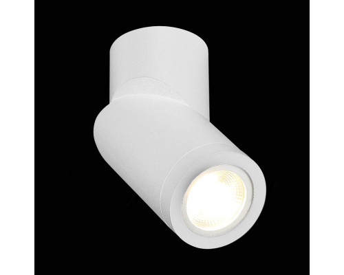 Купить Влагозащищенный светильник ST-Luce ST650.502.01| VIVID-LIGHT.RU