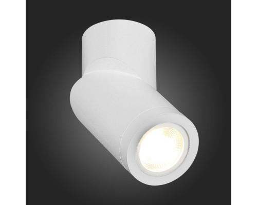 Купить Влагозащищенный светильник ST-Luce ST650.502.01| VIVID-LIGHT.RU