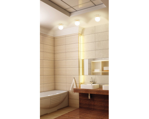 Оформить заказ Влагозащищенный светильник Novotech 369976| VIVID-LIGHT.RU