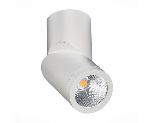 Заказать Влагозащищенный светильник ST-Luce ST650.532.10| VIVID-LIGHT.RU