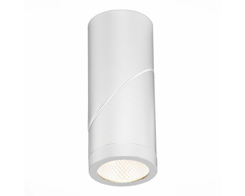 Заказать Влагозащищенный светильник ST-Luce ST650.532.10| VIVID-LIGHT.RU