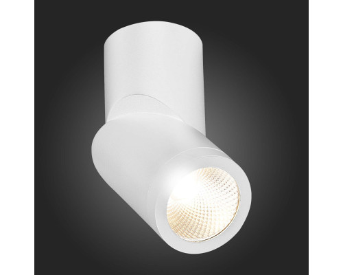 Заказать Влагозащищенный светильник ST-Luce ST650.532.10| VIVID-LIGHT.RU