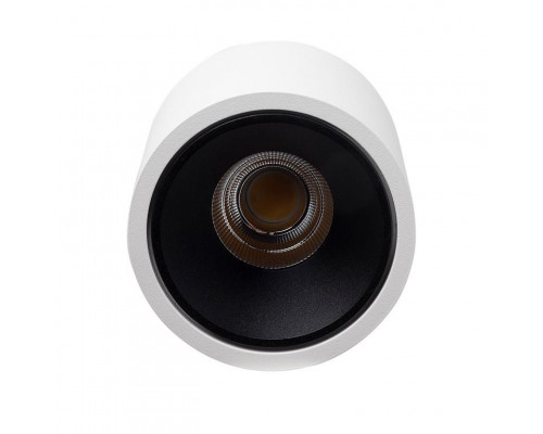 Сделать заказ Влагозащищенный светильник LeDron RINBOK White/Black| VIVID-LIGHT.RU