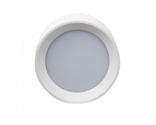 Сделать заказ Влагозащищенный светильник LeDron BARREL MINI White| VIVID-LIGHT.RU