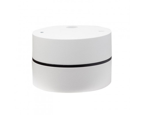 Сделать заказ Влагозащищенный светильник LeDron BARREL MINI White| VIVID-LIGHT.RU