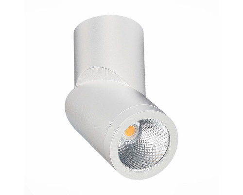 Купить Влагозащищенный светильник ST-Luce ST650.542.10| VIVID-LIGHT.RU