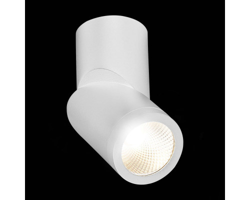 Купить Влагозащищенный светильник ST-Luce ST650.542.10| VIVID-LIGHT.RU