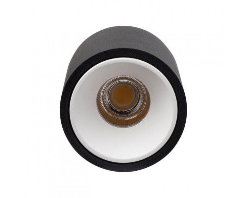 Заказать Влагозащищенный светильник LeDron RINBOK Black/White| VIVID-LIGHT.RU