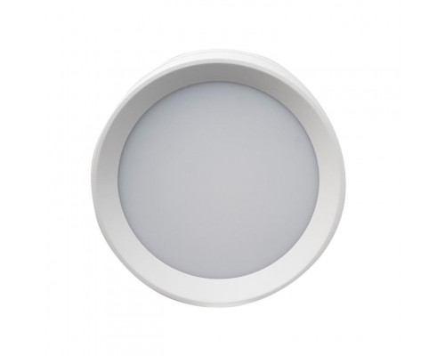 Оформить заказ Влагозащищенный светильник LeDron BARREL White| VIVID-LIGHT.RU