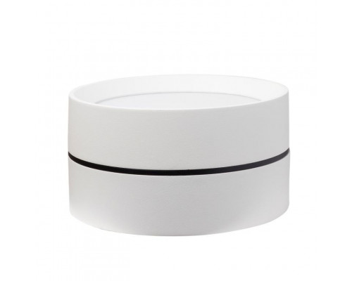 Оформить заказ Влагозащищенный светильник LeDron BARREL White| VIVID-LIGHT.RU